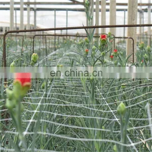 Extrude Strong Plant Support Climbing Fencing Trellis Netting thumbnail-5