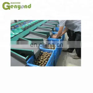 High Capacity Mango Washing Grading Machine thumbnail-1