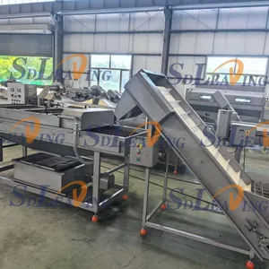 Automatic Industrial Jujube Palm Dates Processing Machine Commercial Dates Washing Pitting Cleaning Dryer Grading Production Line thumbnail-5
