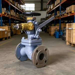 Marine Quick Closing Valve With Position Indicator, Meets GB/T5744-1993 thumbnail-3