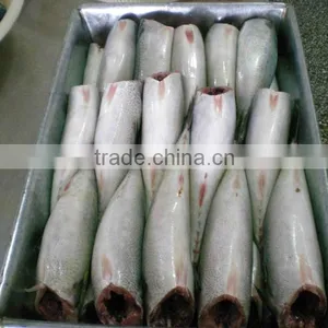 Mackerel(scomber Japonicus) HGT thumbnail-1
