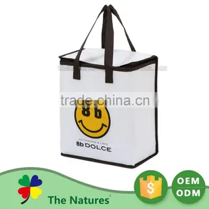 Exceptional Quality Custom Printed Logo Elegant And High End Frozen Food Soft Sided Insulated Cooler Bag thumbnail-2