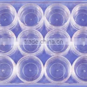 5g Jar 12pcs/set Empty Case Nail Art Tips Box Cosmetic Acrylic Powder Jar Wholesale thumbnail-1
