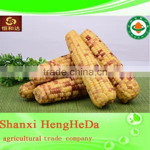 China Products Yellow Corn thumbnail-4