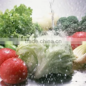 High Efficiency Best Quality Commercial Brush Vegetable Washer thumbnail-6