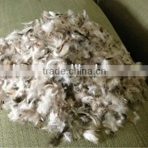 EN 12934 Grey Goose Feather High Fill Power thumbnail-1