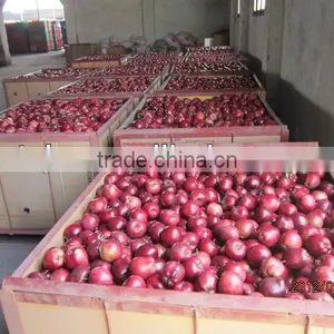Export Huaniu Apple Company thumbnail-4