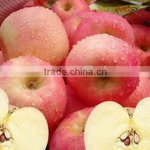 Food Additives DL-Malic Acid thumbnail-1
