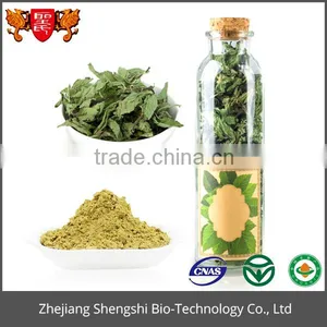 Best Price Optimal Level 100% Natural Wild Mint Herb Extract thumbnail-4