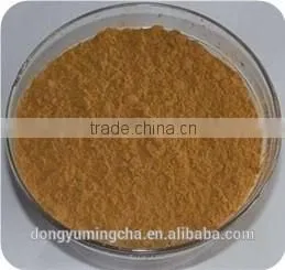 GMP Manufacture Supply High Quality Rhodiola Rosea Extract 3% 5% Rosavins for Supplement for Capsule thumbnail-3