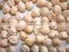 Delicious Chick Pea thumbnail-1