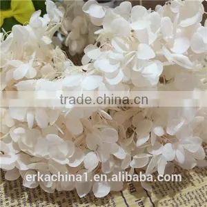 Preserved Flower Hydrangea Flower thumbnail-1