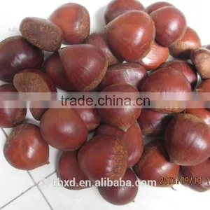 2015 Snack Foods Raw Organic Bulk Nuts/chinese Chestnuts for Sale/roasted Chestnuts thumbnail-2