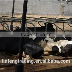 Animal Rest Panels, Cow/Cattle Lying Bar for Rest Equipment thumbnail-1