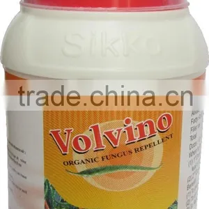 Volvino thumbnail-1