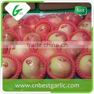 Fresh Chinese Delicious Fruit Crisp Gala Apple thumbnail-1
