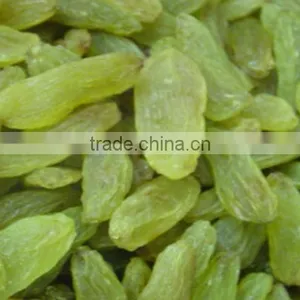 BEST QUALITY GREEN RAISIN FOR BEST RATE thumbnail-3
