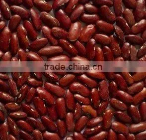 Chinese Dark Red Kidney Beans thumbnail-3