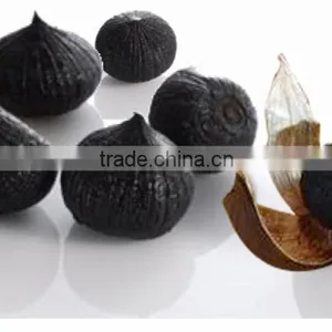 Natural Black Garlic thumbnail-1