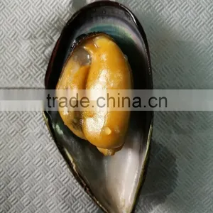 Cooked High Quality Half Shell Mussel for Hot Sale thumbnail-2