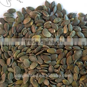 Pumpkin Seeds GWS thumbnail-2