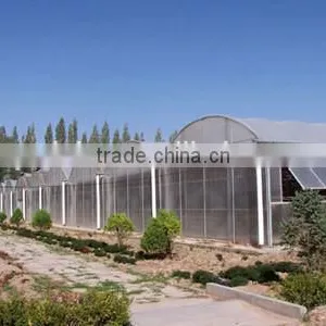 In Anti-fog Dust Prevention Was Plastic Greenhouse thumbnail-1