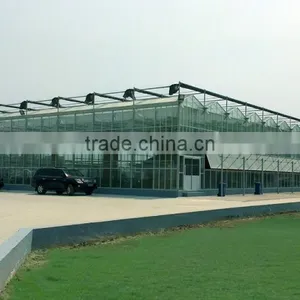 Modern External Blinds Seedling in Greenhouse thumbnail-1