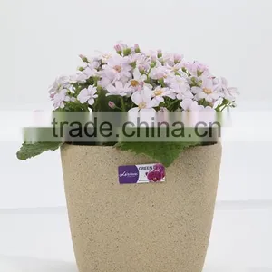 Sand Surface Plastic Flowerpot,bonsai Pot,frosted Garden Planter thumbnail-1