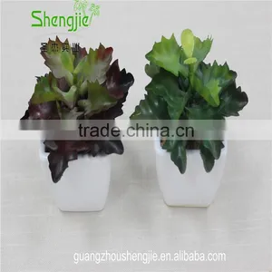 SJLJ013384 Artificial Plant / Fake Plastic Succulent Plant for Office / Restaurant Decoration thumbnail-5