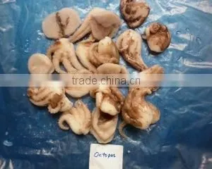 Anlong Company Limited company overview - view 3 thumbnail