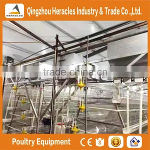 Heracles High Quality Chicken Poultry Farm Equipment/chicken Cages Plans thumbnail-6