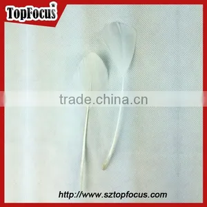 Man Made Feathers for Crafts Decorations Party Wholesale Artificial Feathers thumbnail-2