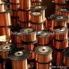 Sell Copper Clad Aluminium (CCA) Wire thumbnail-1