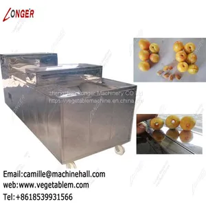 Commercial Apricot Core Removal Machine|Fruit Pitting Machine Manufacturers thumbnail-4