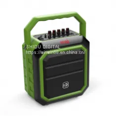 New Product 30w Karaoke Bluetooth Speaker With FM Radio and Flashing DJ Lights thumbnail-2