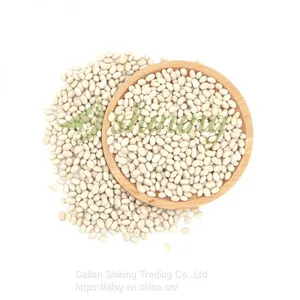 Navy White Beans thumbnail-1