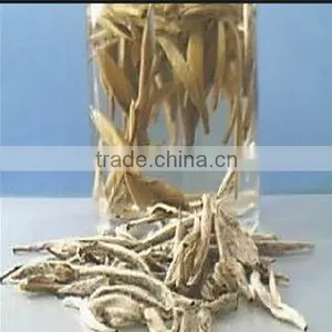 China Tasty and Healthy Loose Leaf White Tea , White Silver Needle thumbnail-1