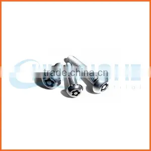 China Supplier Cnc Machining Anti-theft Screw thumbnail-6