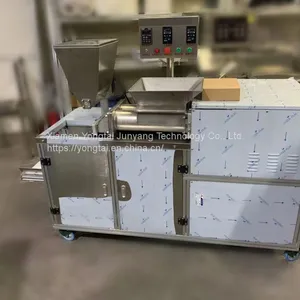 YT-006 Тайваньская машина для производства жемчуга из тапиоки, Sabudana (Sago) тапиока боба внутри фабрики,Multi-functional Food Extruder thumbnail-1
