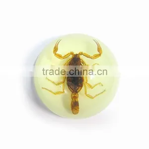 Promotional Gifts 64mm Semicircle Acrylic Home Decoration thumbnail-4
