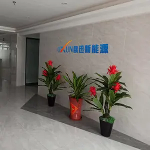 Shenzhen Ouxun New Energy Technology Co., Ltd. company overview - view 1 thumbnail