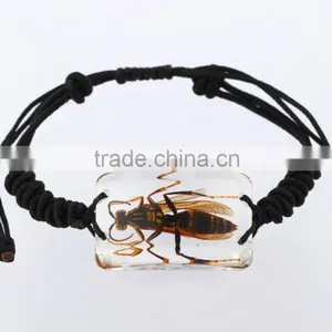 Latest Hippie Bracelet Beads as Promotion Gifts With Real Insect thumbnail-4