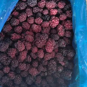 New Crop High Quality IQF Freeze Frozen Blackberry thumbnail-1