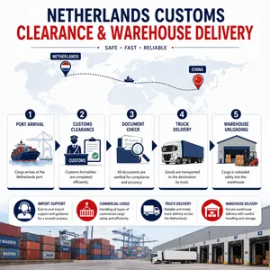 China to Netherlands LCL Shipping and Warehouse Delivery Service thumbnail-4