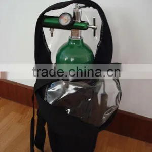 Protable Oxygen Cylinder (D/E Size Oxgyen Cylinder System) thumbnail-3