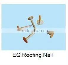 3/4" E.G. ROOFING NAILS. thumbnail-1
