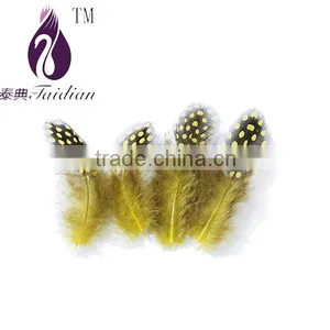 Natural Pearl Chicken Feathers,guinea Fowl Feather Trim Quality Choice thumbnail-5
