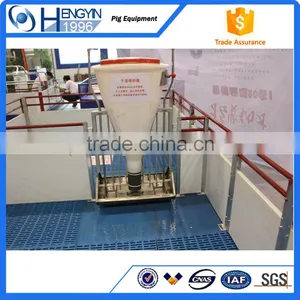 Poultry Equipment Pig Nursery Crate thumbnail-5