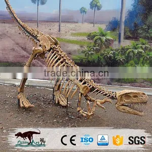 OA4082 High Quality Fossils Dinosaur thumbnail-2
