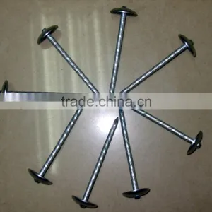 Coil Roofing Nail thumbnail-1
